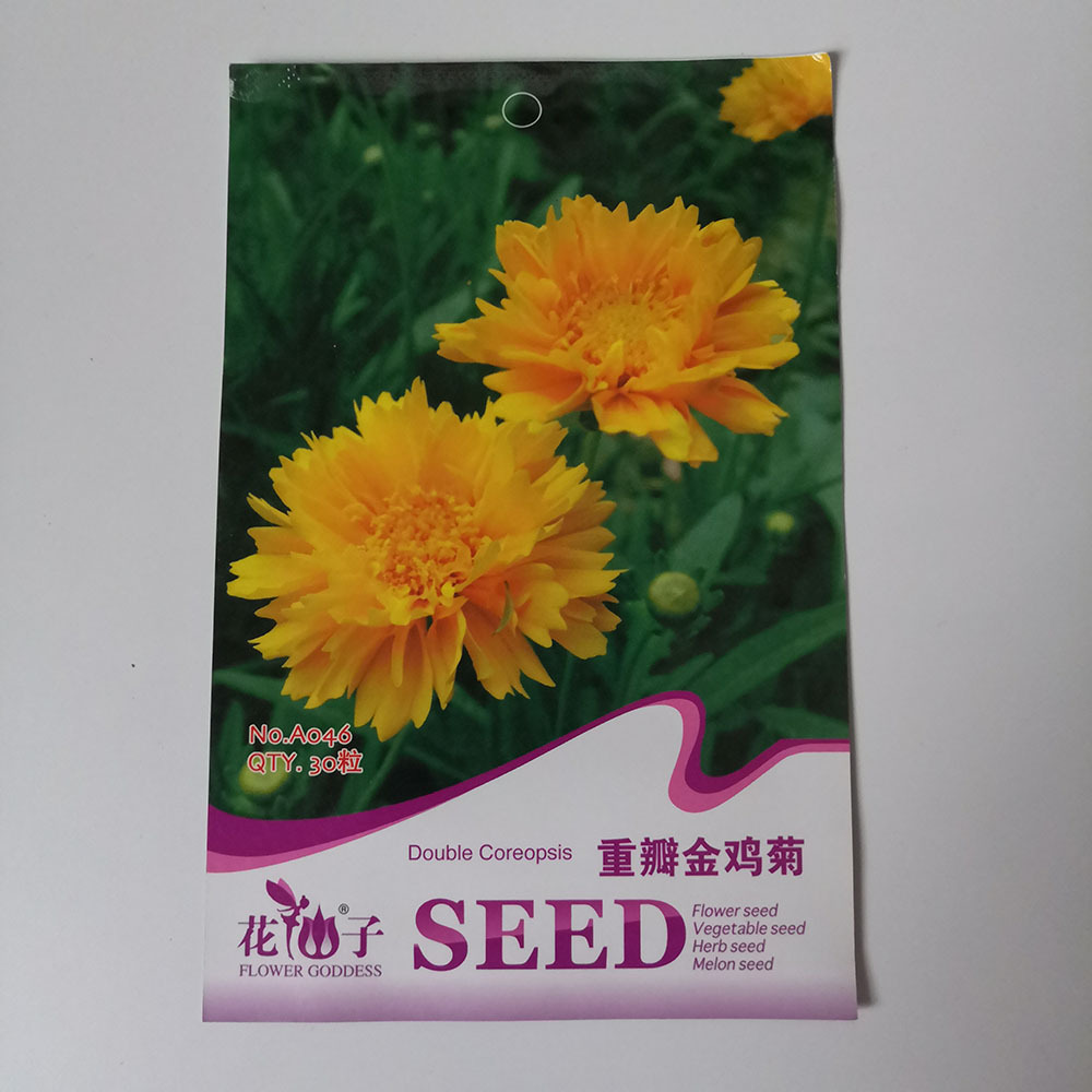 Polyphyll Coreopsis basalis seeds 46 seeds/bags