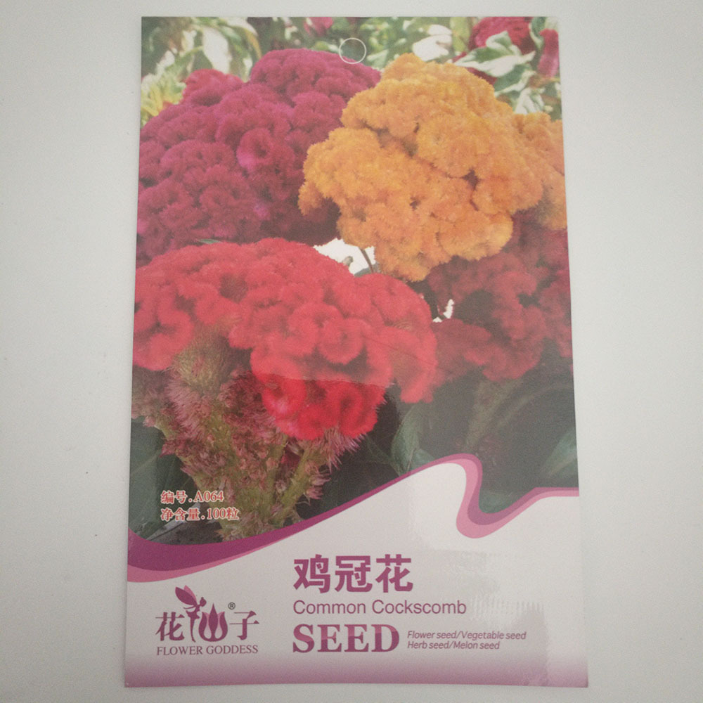 cockscomb seeds 100 seeds/bags