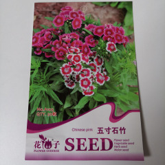 Carnation seeds 50seeds/bags
