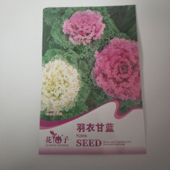 curly kale seeds 30 seeds/bags