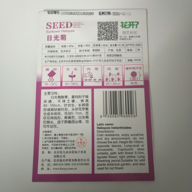 Heliopsis helianthoides seeds 50 seeds/bags