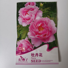 Peony seeds 5 seeds/bags