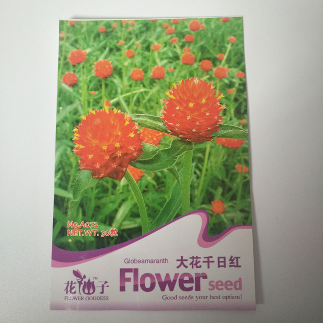 Gomphrena globosa seeds 30 seeds/bags
