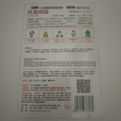 Cockscomb seeds 20 seeds/bags