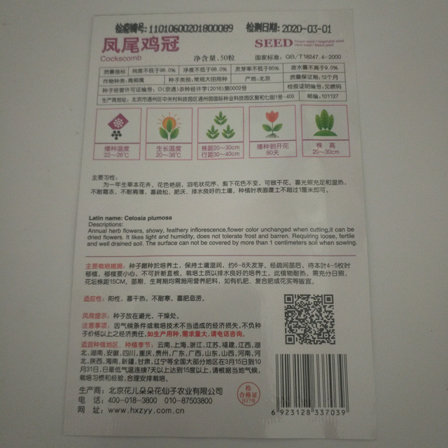 Cockscomb seeds 20 seeds/bags