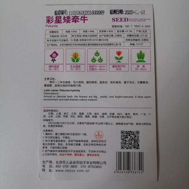 Dwarf petunia seeds 100 seeds/bags