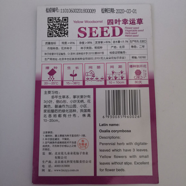 Yellow wood sorrel seeds 20 seeds/bags