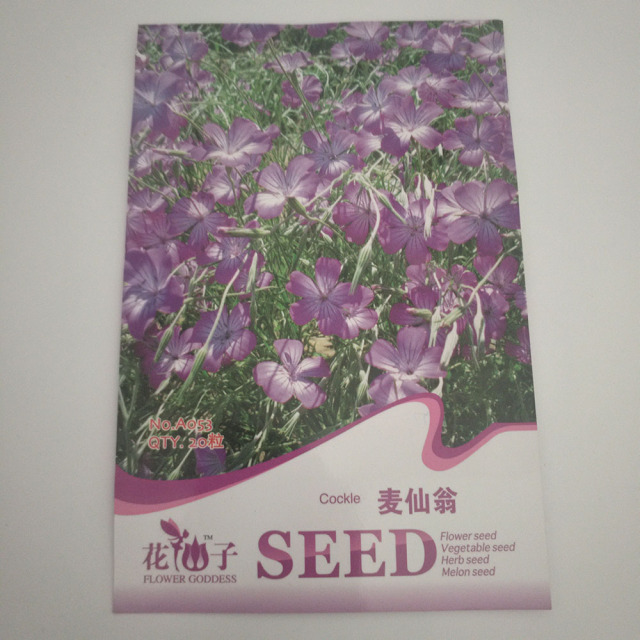 corncockle seeds 20 seeds/bags