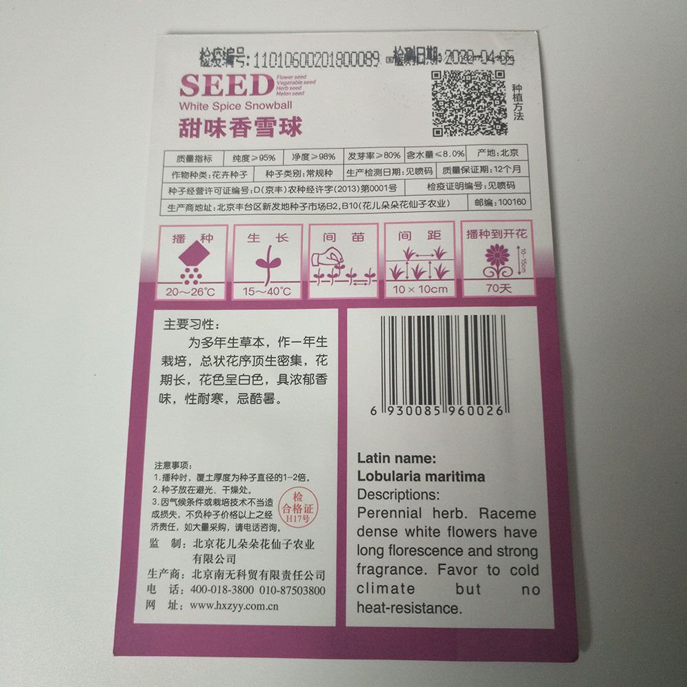 sweet alyssum seeds 60 seeds/bags