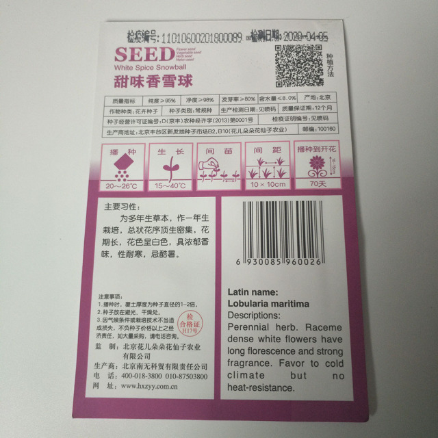 sweet alyssum seeds 60 seeds/bags