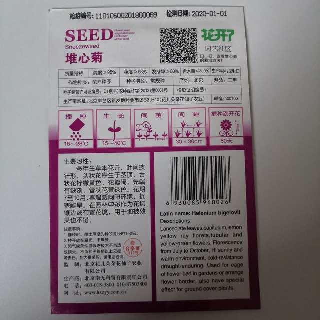 sneezeweed seeds 50 seeds/bags