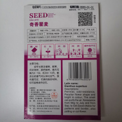 lilac pink seeds 50 seeds/bags