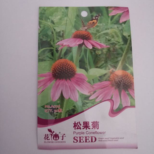 Echinacea seeds 50 seeds/bags