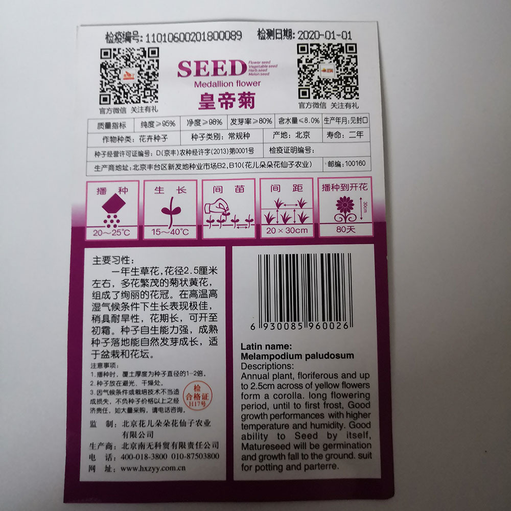 Melampodium paludosum seeds 20 seeds/bags