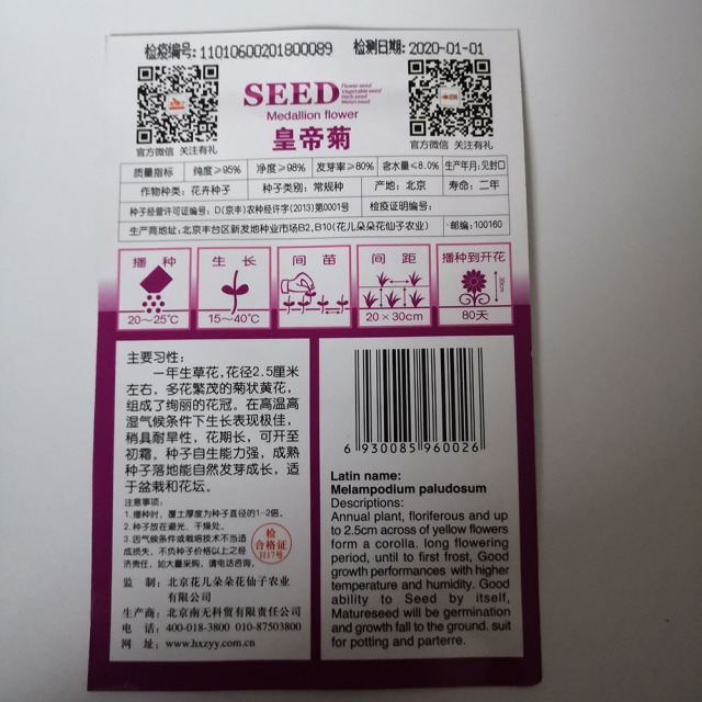 Melampodium paludosum seeds 20 seeds/bags