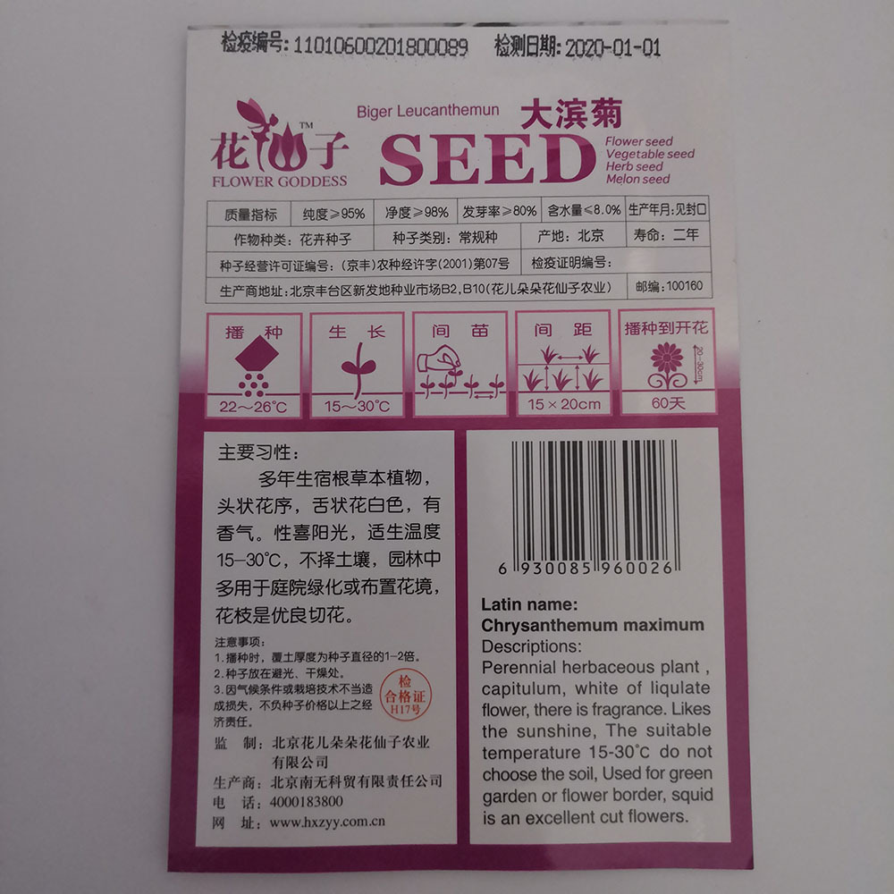shasta daisy seeds 50 seeds/bags