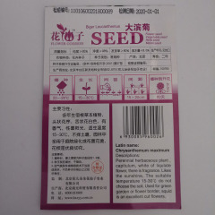 shasta daisy seeds 50 seeds/bags