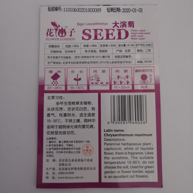 shasta daisy seeds 50 seeds/bags