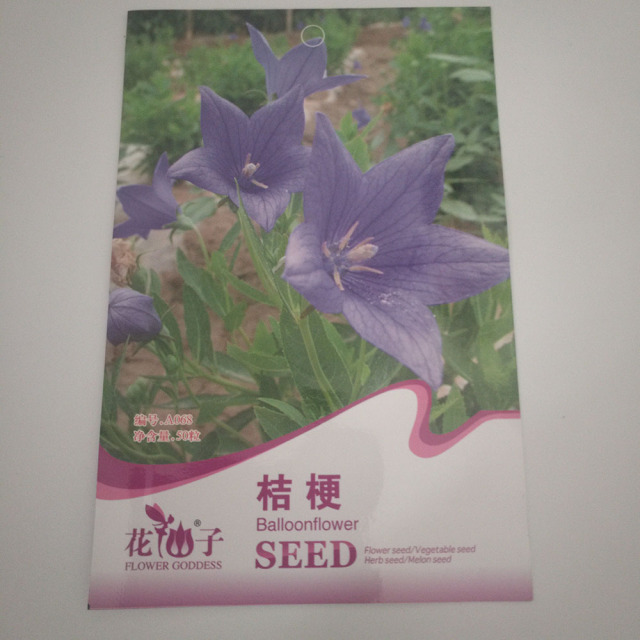 balloon flower seeds 50 seeds/bags