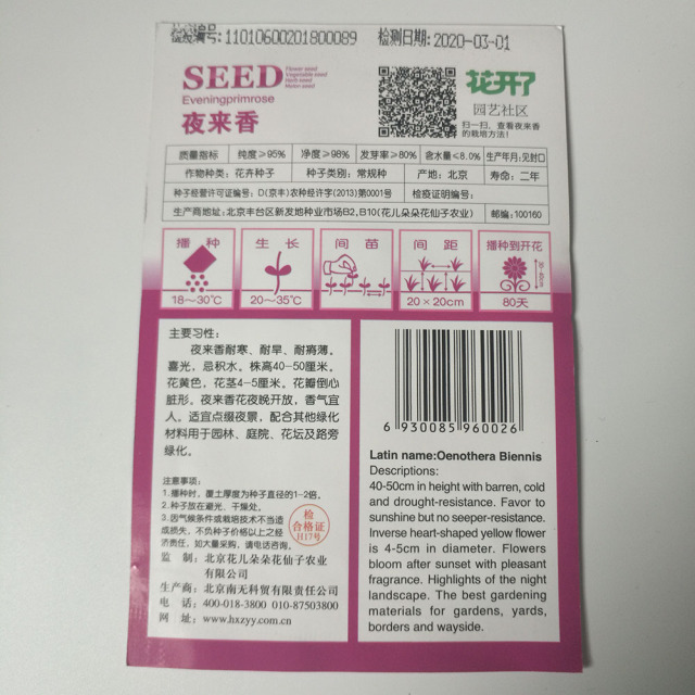 Evening primrose seeds 50 seeds/bags