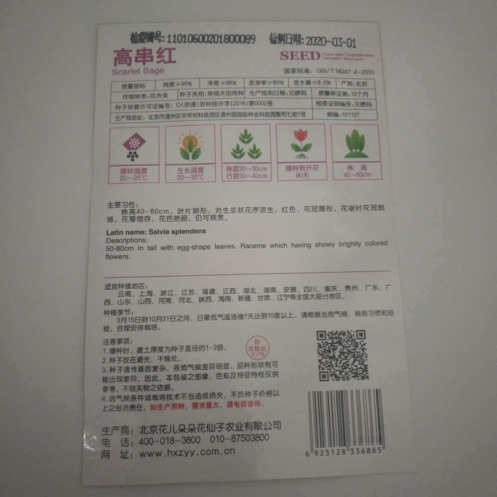 scarlet sage seeds 30 seeds/bags
