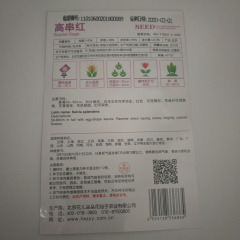 scarlet sage seeds 30 seeds/bags