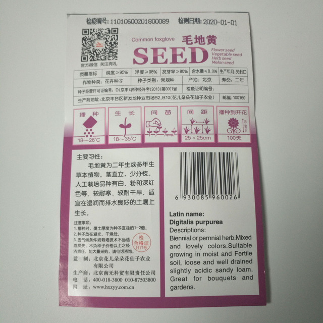 Foxglove seeds 50 seeds/bags