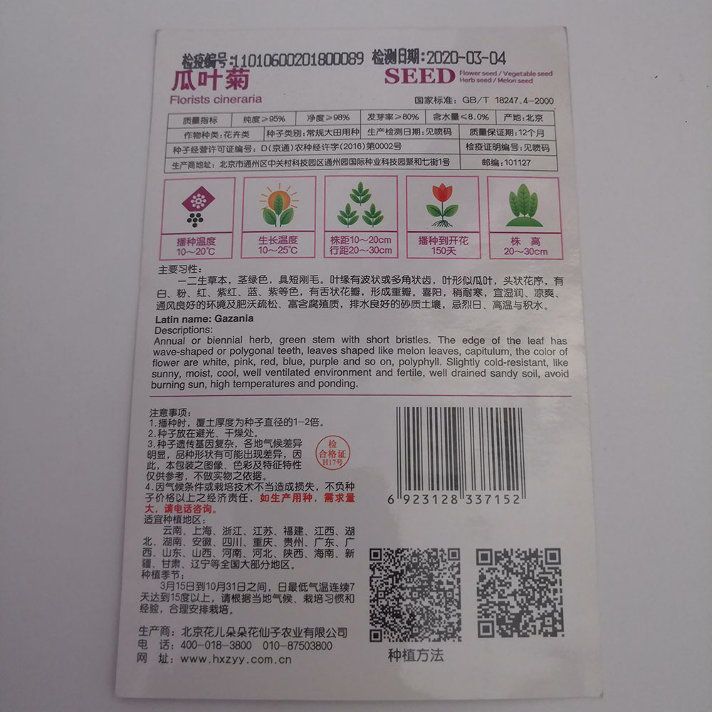 cineraria seeds 20 seeds/bags