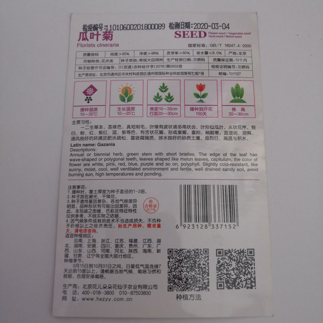 cineraria seeds 20 seeds/bags