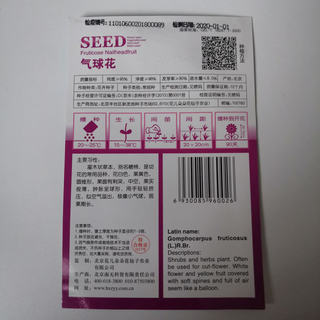 Gomphocarpus fruticosus seeds 10 seeds/bags