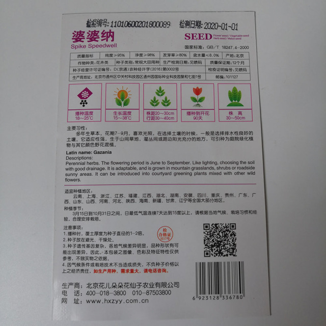 Veronica persica seeds 50 seeds/bags