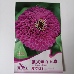 Purple Zinnia seeds 50 seeds/bags