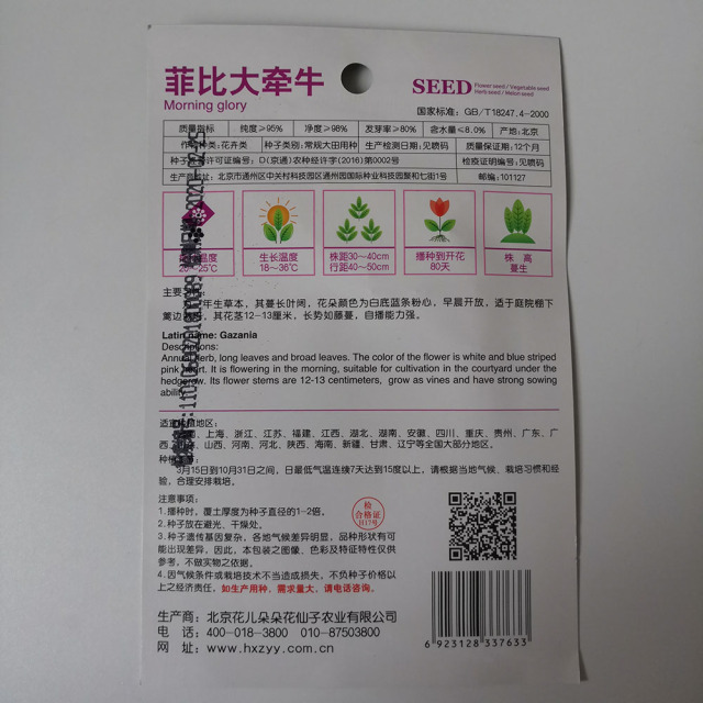 morning glory seeds 20 seeds/bags