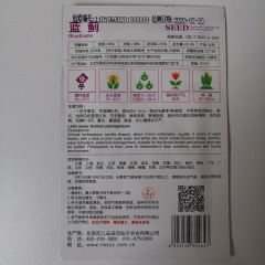 echium vulgare seeds 30 seeds/bags