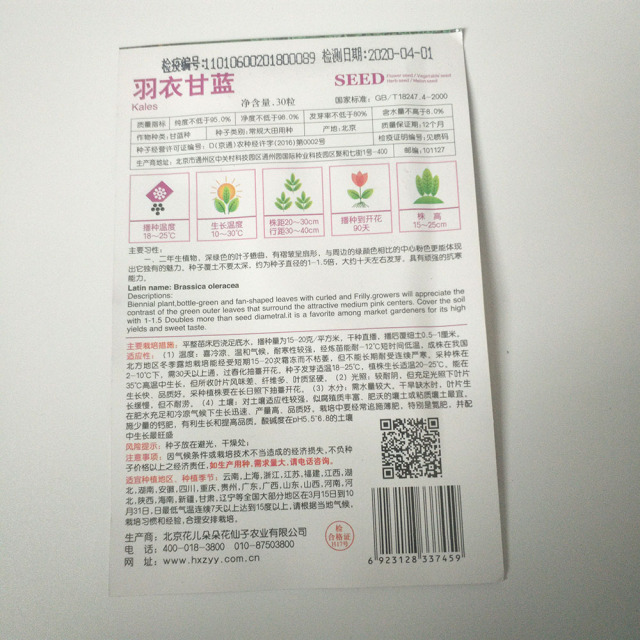 curly kale seeds 30 seeds/bags
