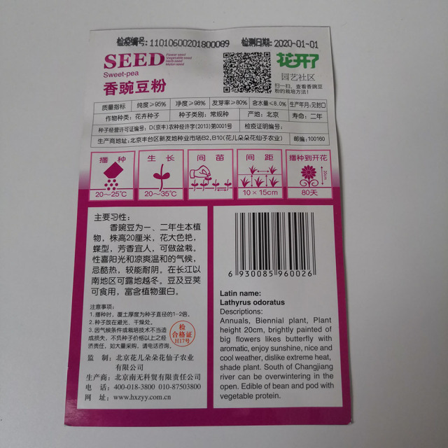 pink sweet pea seeds 15 seeds/bags