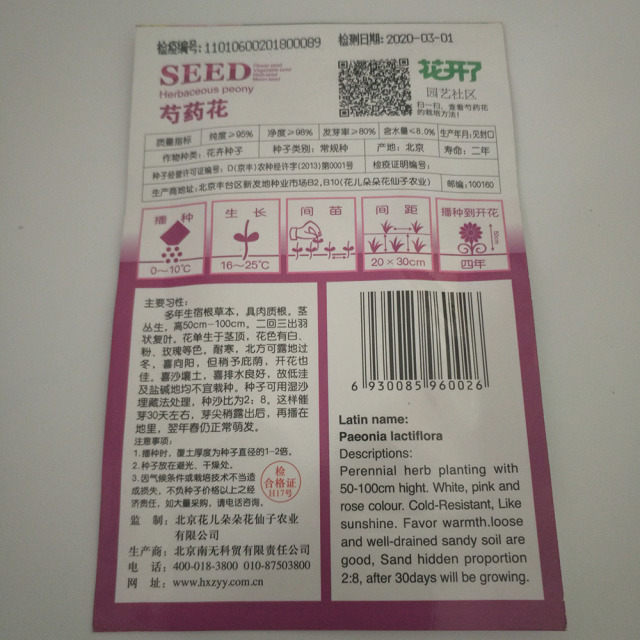 Chinese herbaceous peony seeds 6 seeds/bags