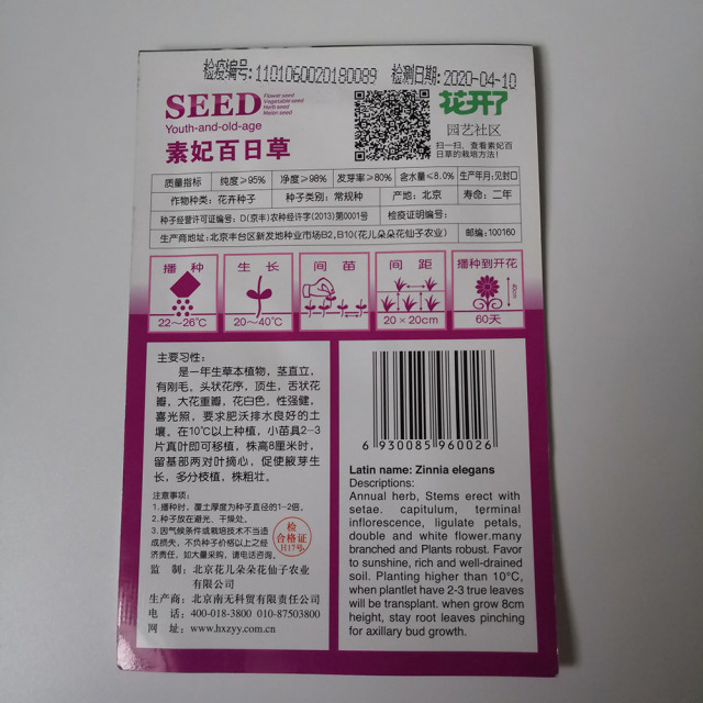 White Zinnia elegans seeds 50 seeds/bags