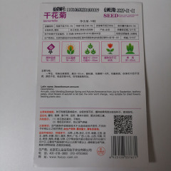 immortelle seeds 50 seeds/bags