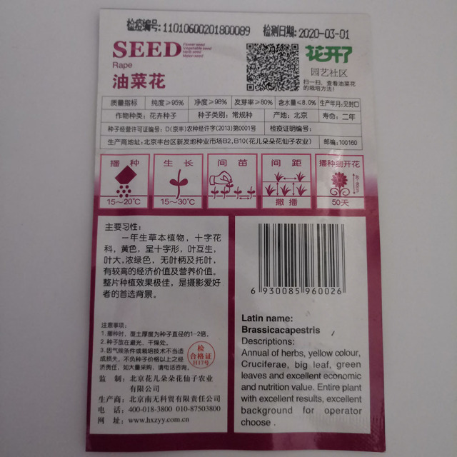 Rape flower seeds 150 seeds/bags