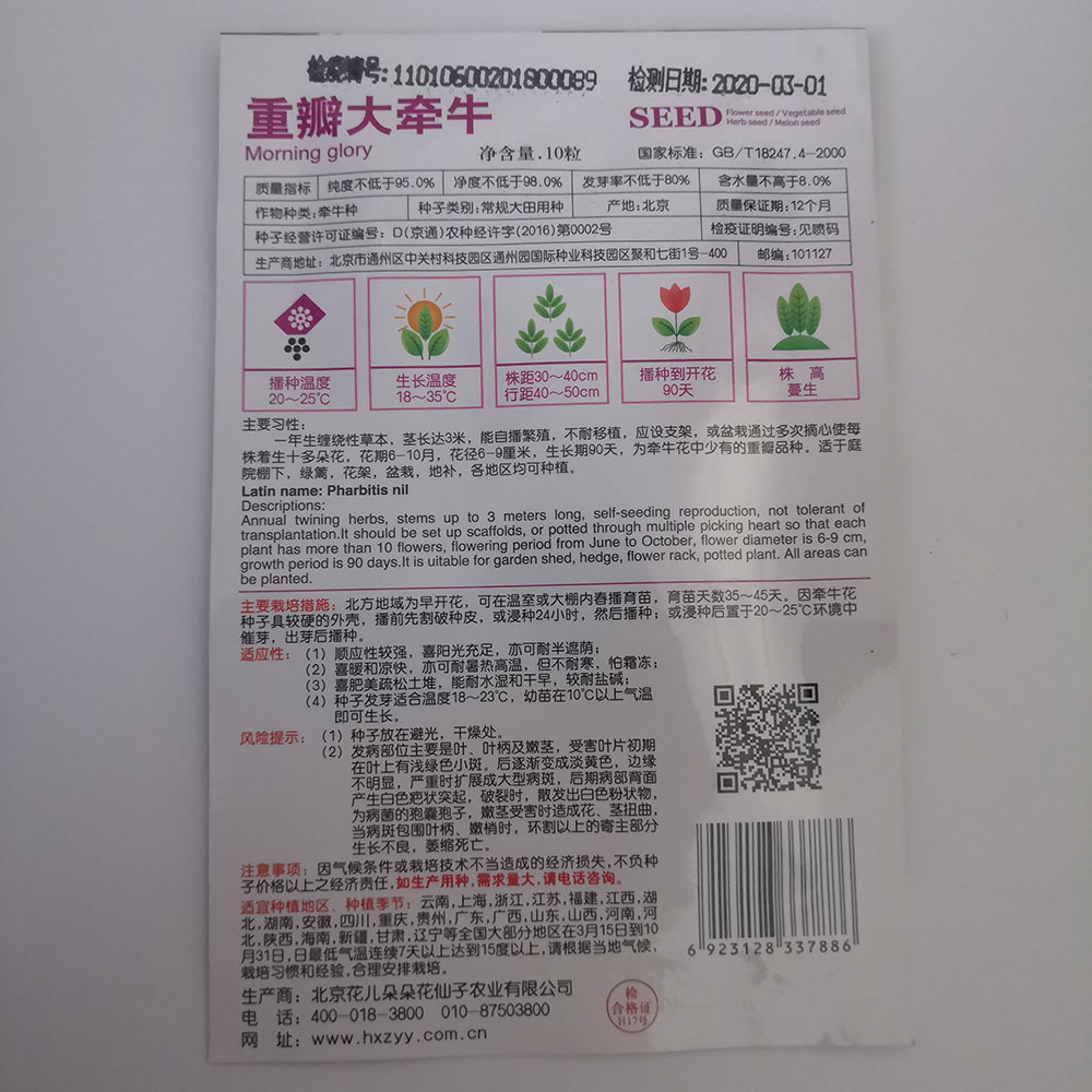 polyphyll morning glory seeds 10 seeds/bags