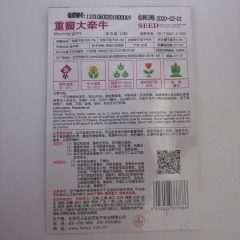 polyphyll morning glory seeds 10 seeds/bags