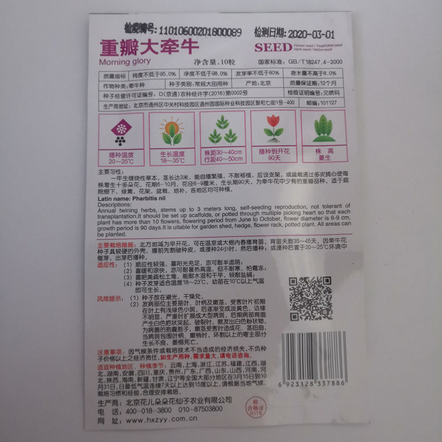 polyphyll morning glory seeds 10 seeds/bags