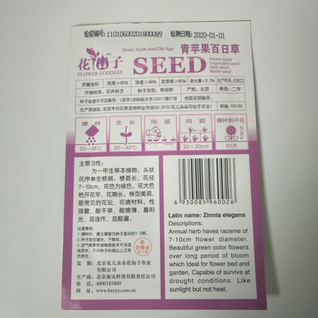 green Common zinnia seeds 30 seeds/bags