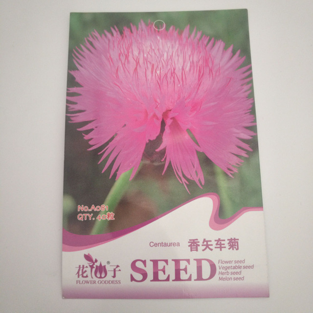 Centaurea cyanus seeds 20 seeds/bags