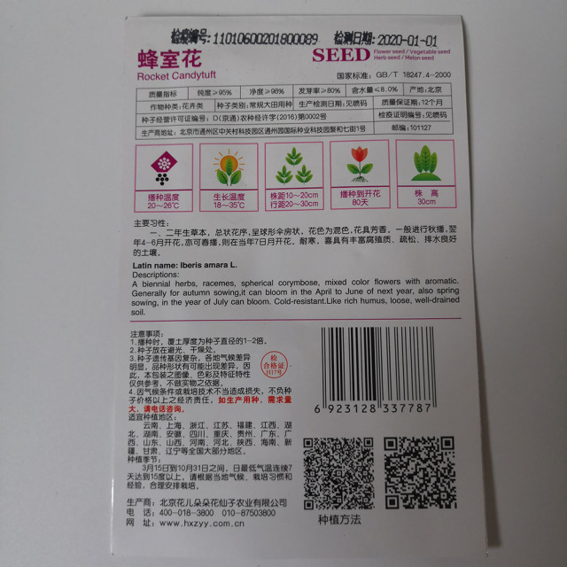 candytuft seeds 50 seeds/bags