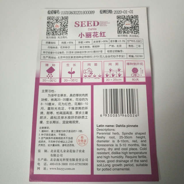 Dahlia seeds 50 seeds/bags