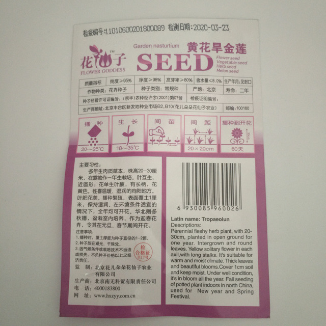 Yellow garden nasturtium seeds 8 seeds/bags