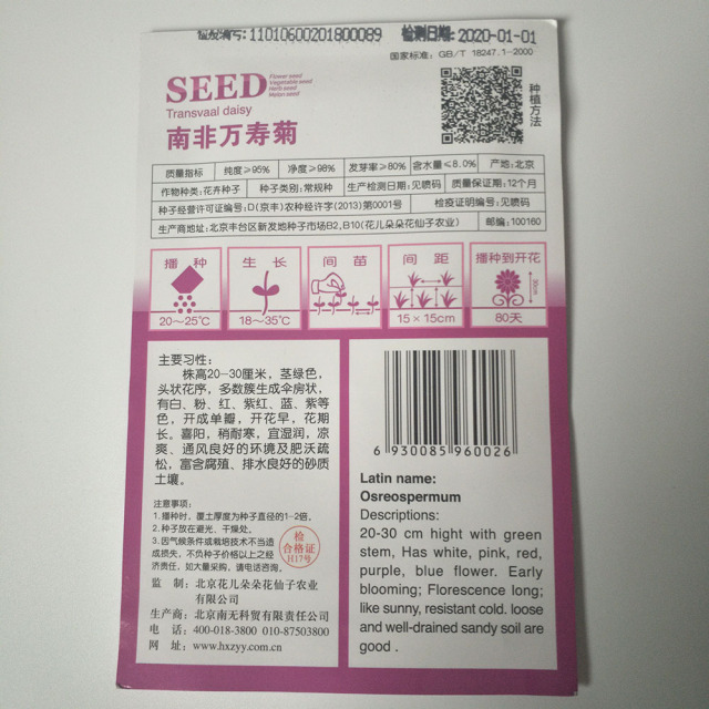 african daisy seeds 15 seeds/bags