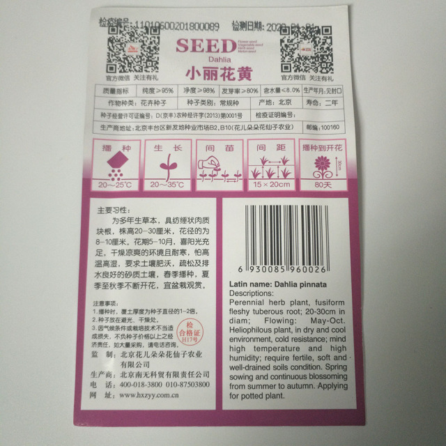 yellow dahlia seeds 30 seeds/bags